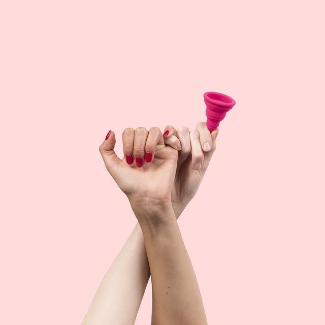 menstruační kalíšek, menstruace